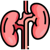 Nephrology