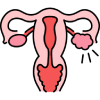 Gynaecology
