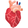 Cardio-Diabeto&shy;logy
